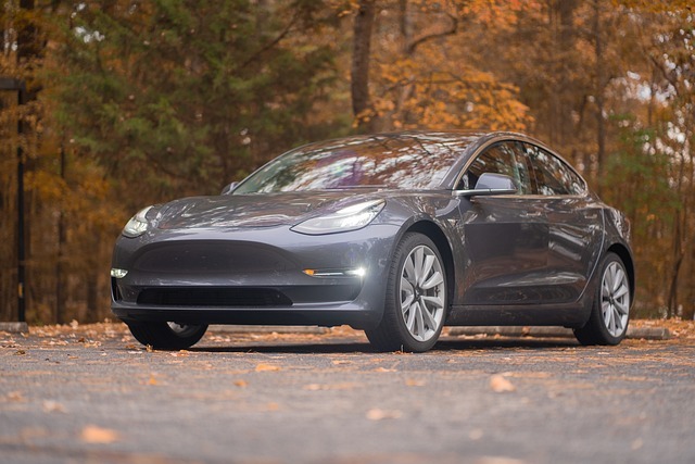 tesla window tinting price