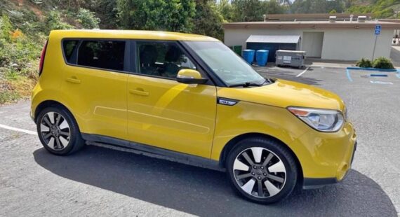 KIA (2)