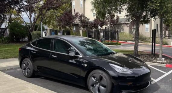 Tesla (3)